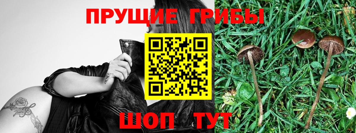 даркнет сайт  Псилоцибиновые грибы Magic Shrooms  Вход с VPN  Кирово-Чепецк 